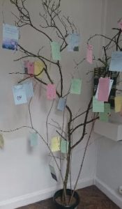 haiku-arbre