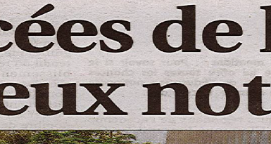 on-est-les-meilleurs