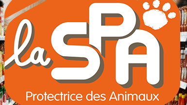 collecte-de-croquettes