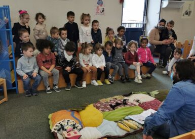 animations-scolaires-a-la-mediatheque